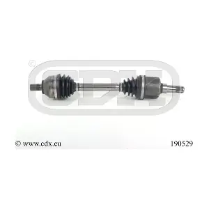 CDX 190529