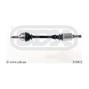 210412 CDX