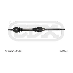 CDX 220223