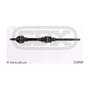 210309 CDX