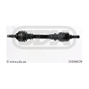 210360/29 CDX