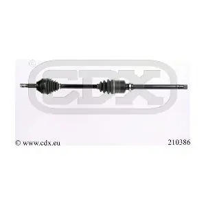 210386 CDX