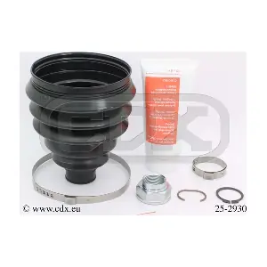 25-2930 CDX