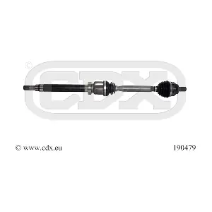 CDX 190479