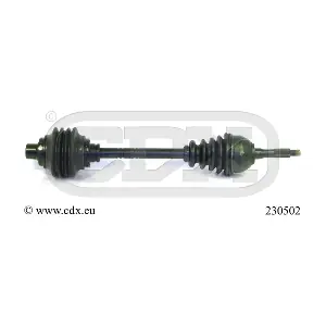 230502 CDX