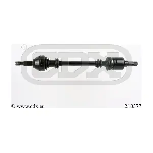210377 CDX