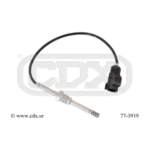 77-3919 CDX