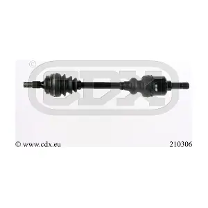 210306 CDX