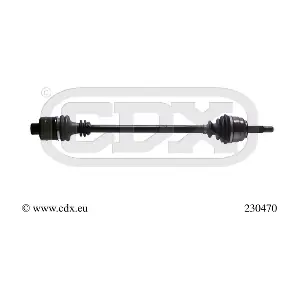 230470 CDX