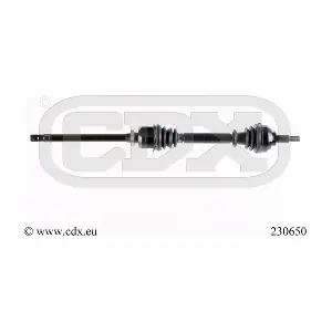 230650 CDX