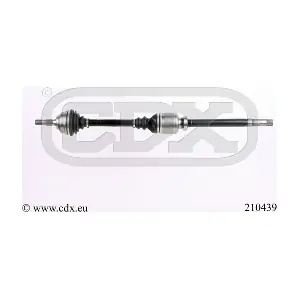 210439 CDX