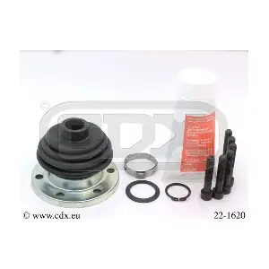 221620 CDX