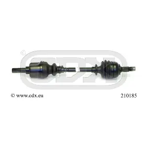 210185 CDX