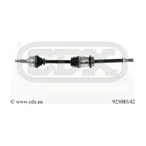 925085/42 CDX