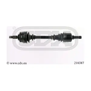210387 CDX