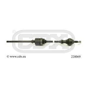 220069 CDX
