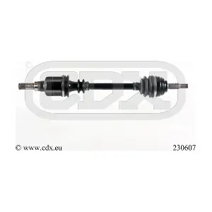 CDX 230607