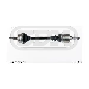 210372 CDX