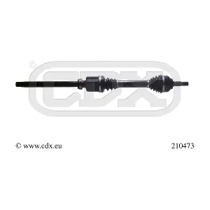 210473 CDX