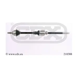 210388 CDX