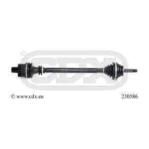 230586 CDX