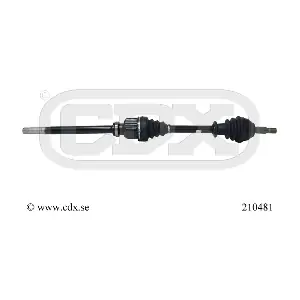 CDX 210481
