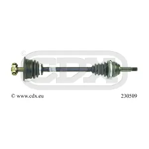230509 CDX