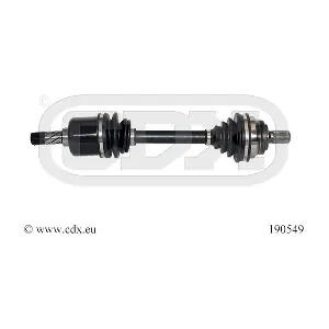 190549 CDX