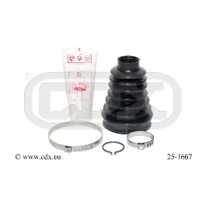 25-1667 CDX
