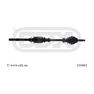 210463 CDX