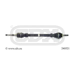 240521 CDX