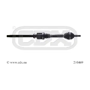 210469 CDX