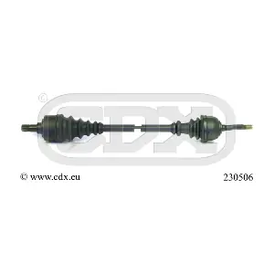 230506 CDX