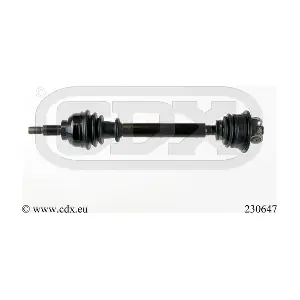 230647 CDX