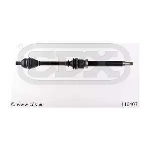 CDX 110407