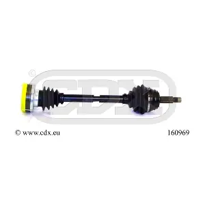160969 CDX