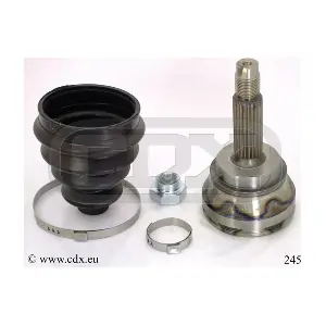 245 CDX