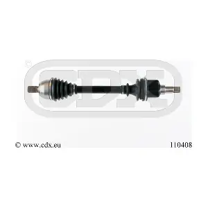 110408 CDX