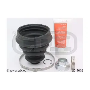CDX 22-3002