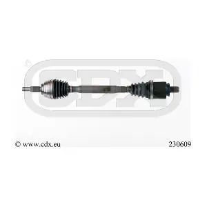 230609 CDX