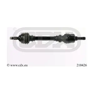 210426 CDX