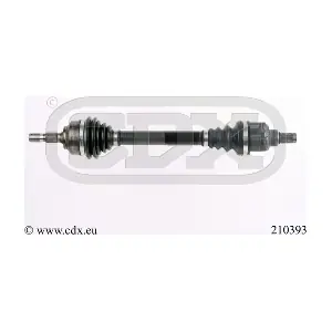 210393 CDX