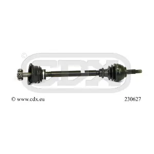 230627 CDX