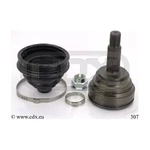 CDX 307