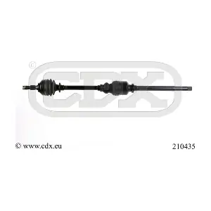 210435 CDX