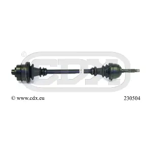 230504 CDX