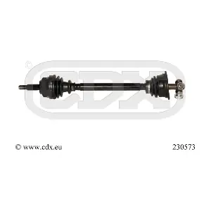 230573 CDX