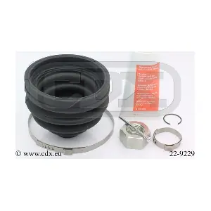 22-9229 CDX
