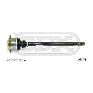 16076 CDX