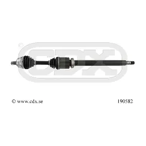 190582 CDX